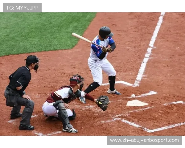 职业棒球联赛商业运营与球迷经济新生态研究 职业棒球联赛商业运营与球迷经济新生态研究